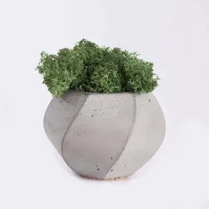 Home plant4 free img